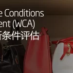 Workplace Conditions Assessment WCA验厂