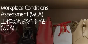 Workplace Conditions Assessment WCA验厂