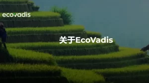 EcoVadis