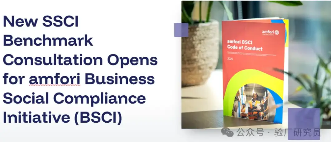 image-20251127161343924