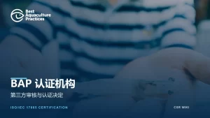 BAP认证机构文章封面