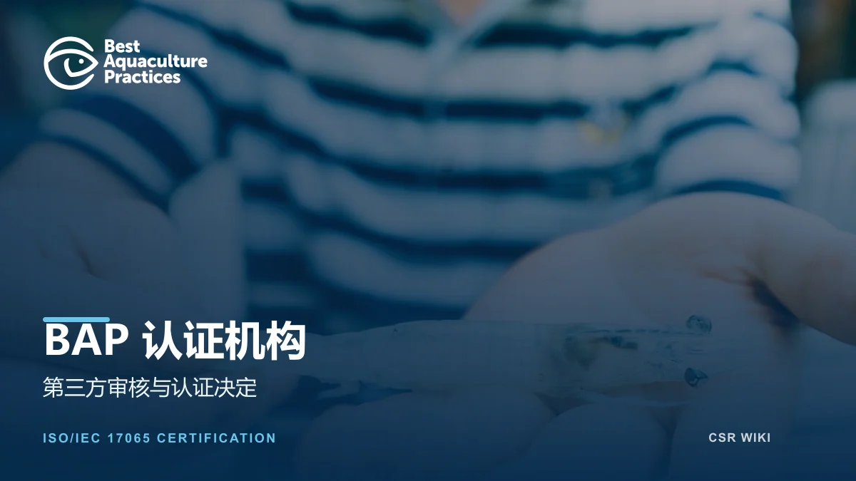 BAP认证机构文章封面