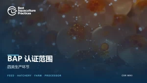 BAP认证范围文章封面