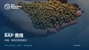 BAP认证费用文章封面