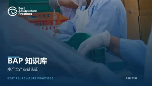 BAP知识库文章封面