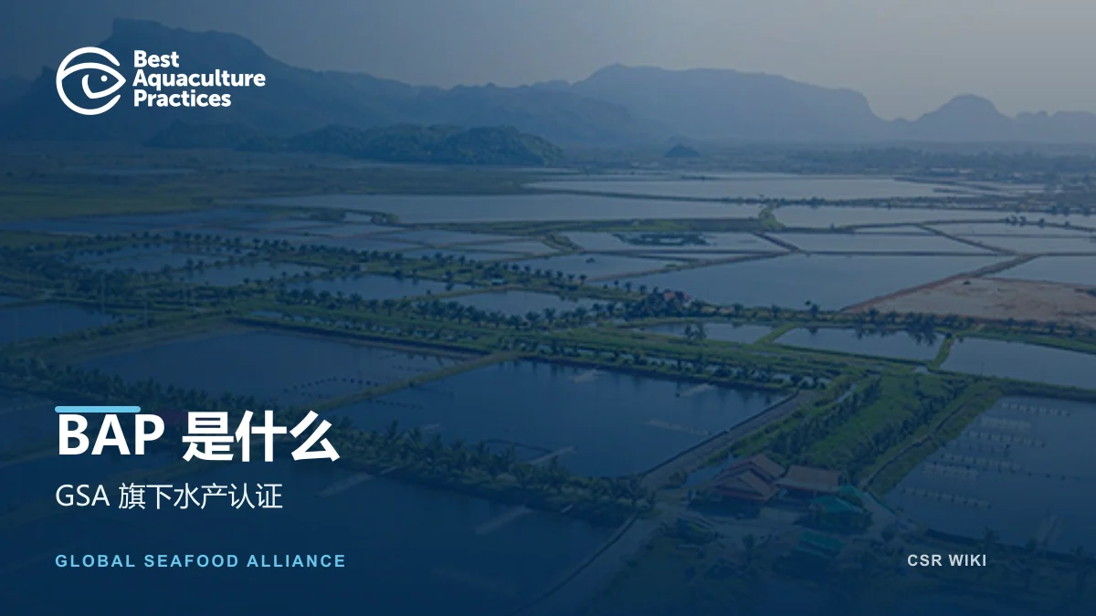 BAP简介文章封面