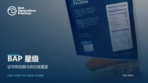 BAP证书与星级文章封面