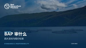 BAP审什么文章封面