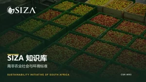 SIZA知识库文章封面