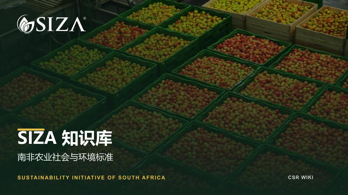 SIZA知识库文章封面