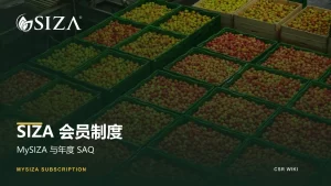 SIZA会员制度文章封面