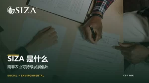 SIZA简介文章封面