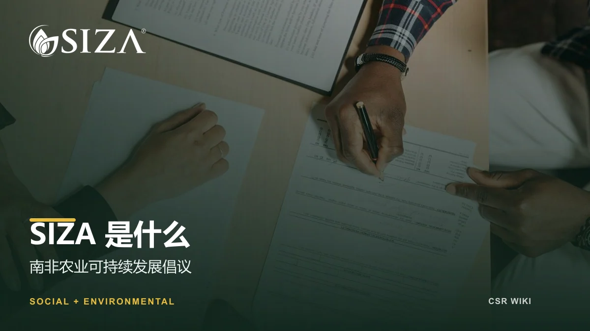SIZA简介文章封面