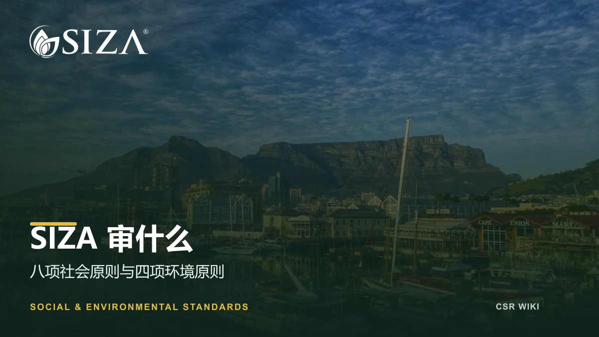 SIZA审什么文章封面